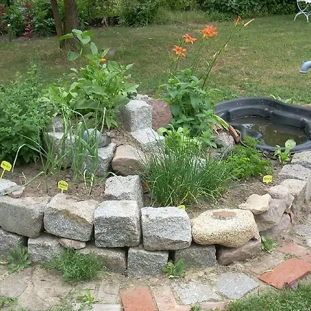 Appartement Marienkaefer *