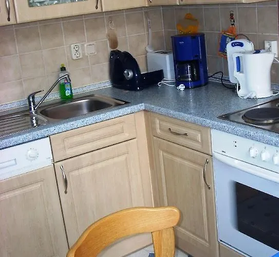 Marienkaefer * Wulkow (Lebus)